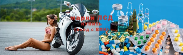 стаф Нефтекумск