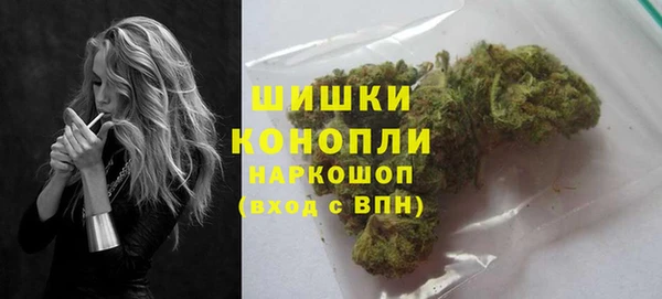 хмурый Нея