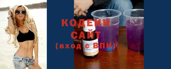 хмурый Нея