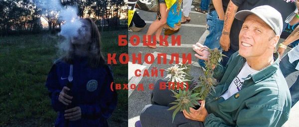 первитин Болотное